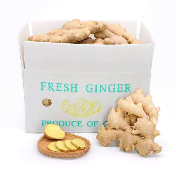 Ginger Paste (300g) (Shan)
