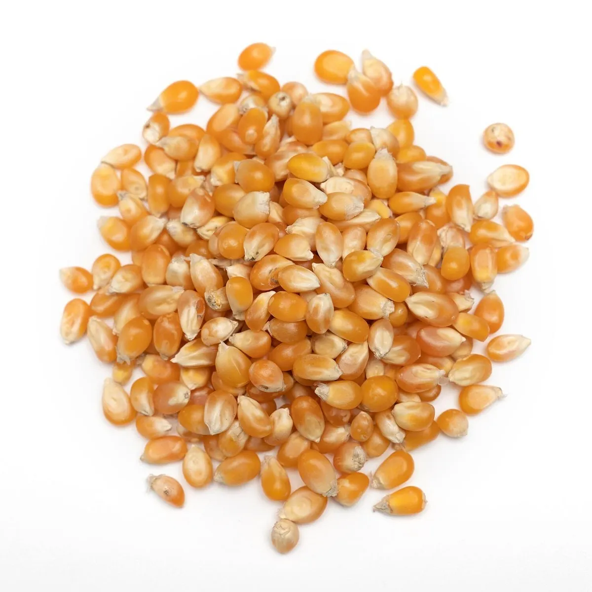 Popcorn Kernels (Local)