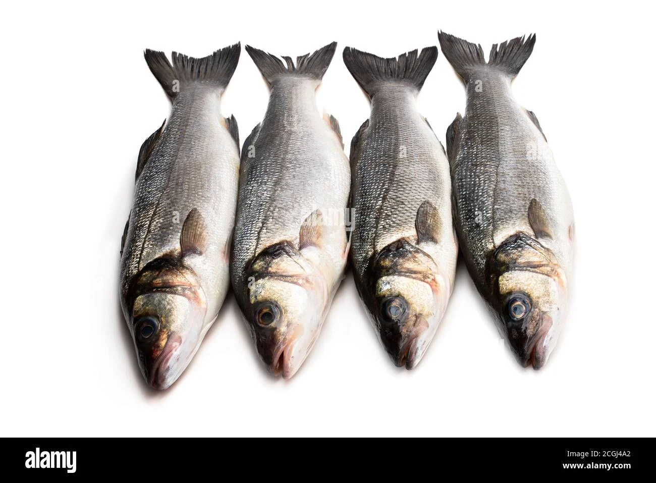 Fish (1 kg)